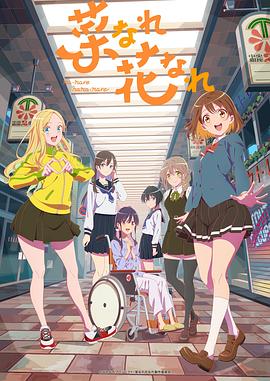 SEO优化基本内容包括